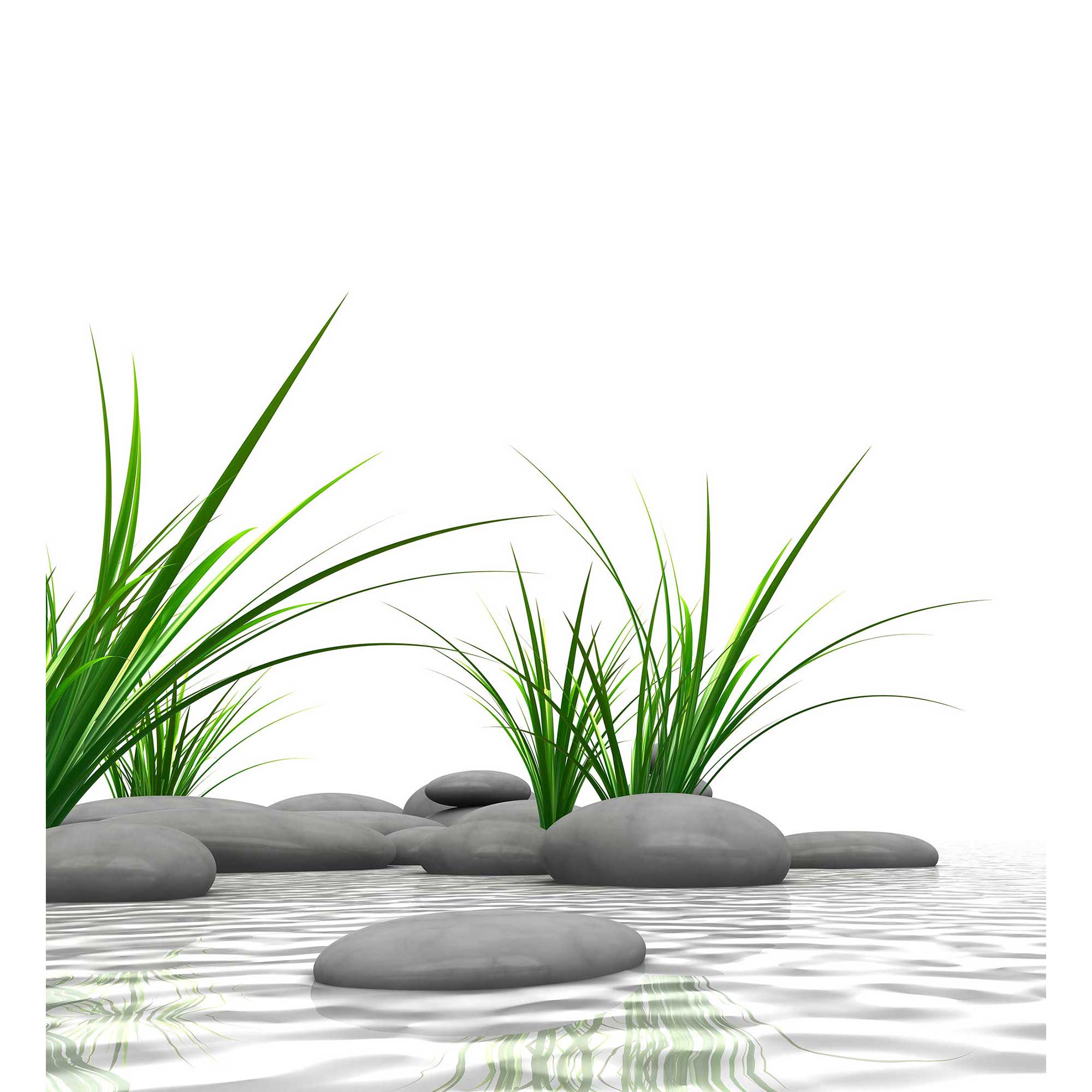 Rückwand-Foto_zen-gras_web_2