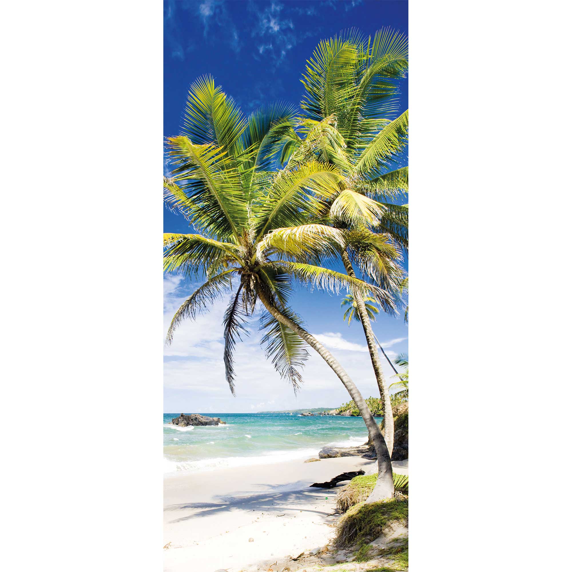 Rückwand Foto von palmen