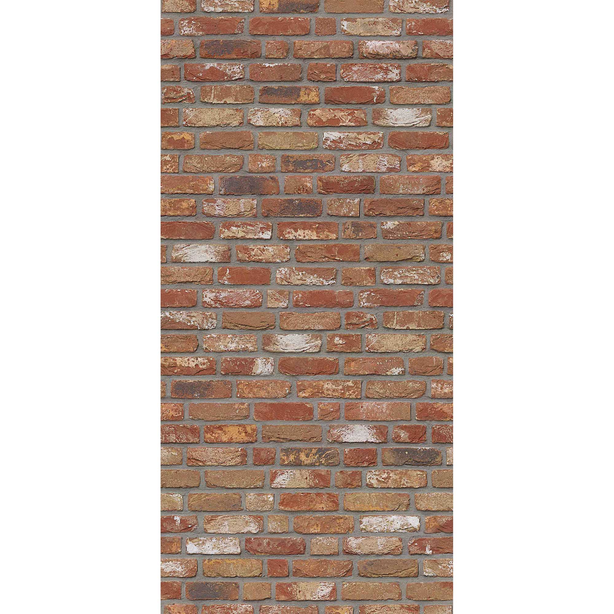 Rückwand-Mauer_rot_web_2